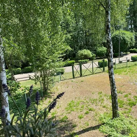 Lawendula Nad Miedwiem Morzyczyn (West Pomeranian)