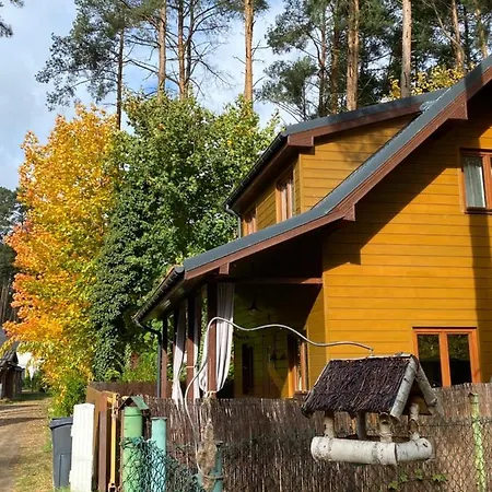 Lawendula Nad Miedwiem Morzyczyn (West Pomeranian)