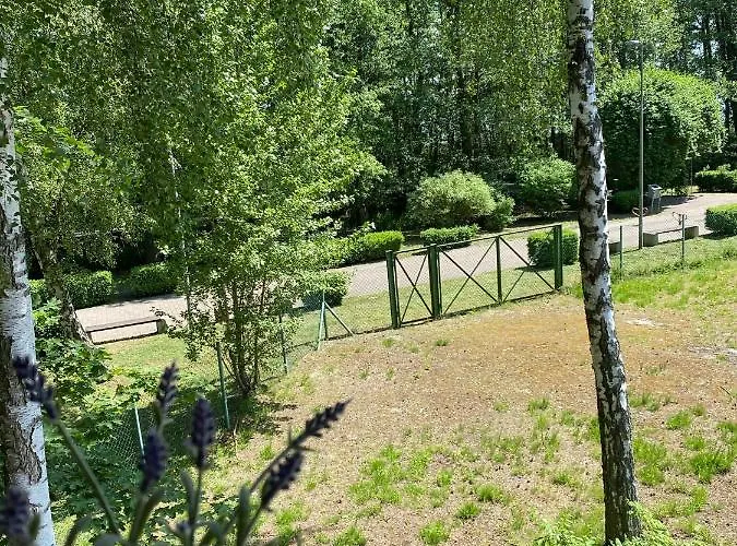 Lawendula Nad Miedwiem Morzyczyn (West Pomeranian)