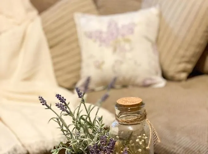 Lawendula Nad Miedwiem * Morzyczyn (West Pomeranian)